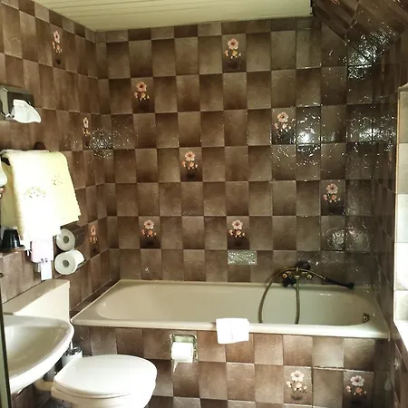 Zur Guten Quelle Hotel 2*